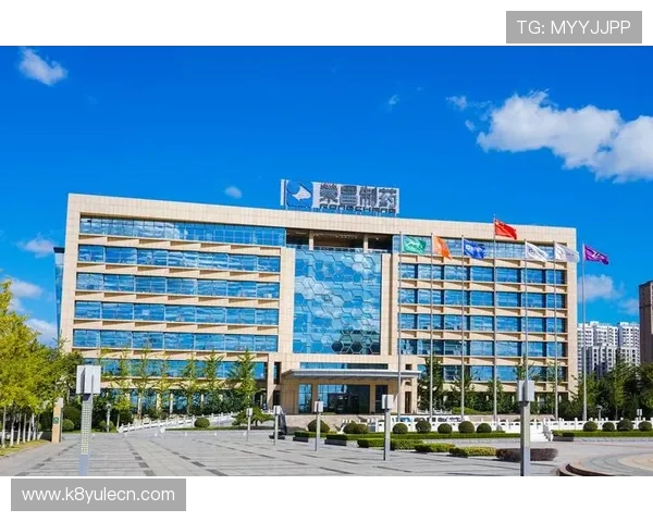 k8凯发官网首页客户服务与技术支持全方位解答玩家常见问题与疑虑