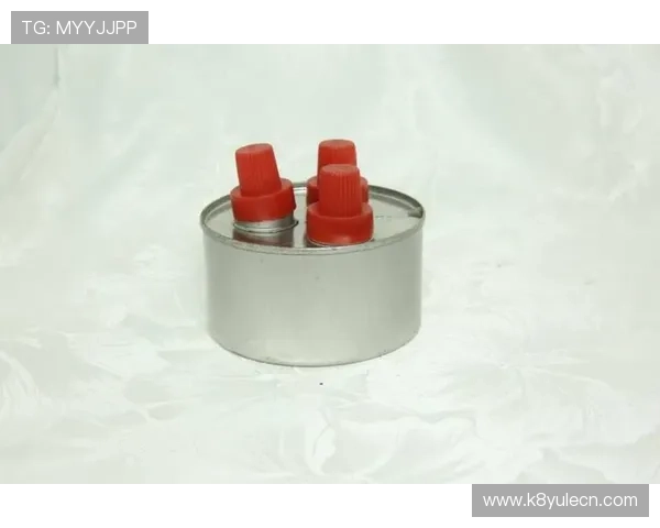 凯发集团登录网址最新入口及下载安装步骤详解确保玩家顺利注册登录