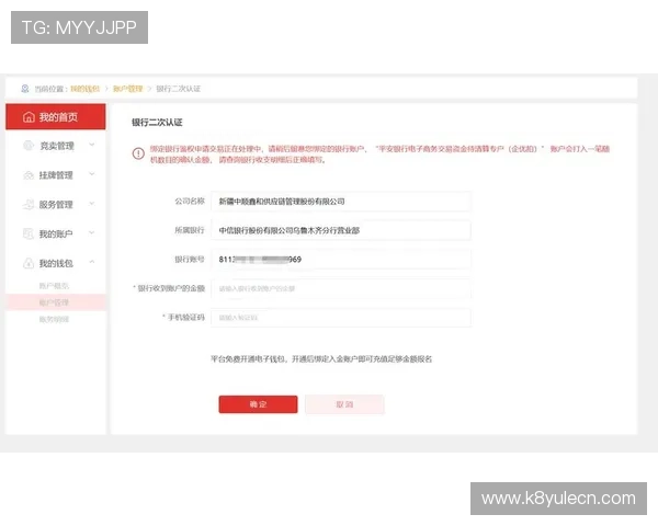 下载凯发真人试玩首页后如何进行账号绑定和资金充值操作指南
